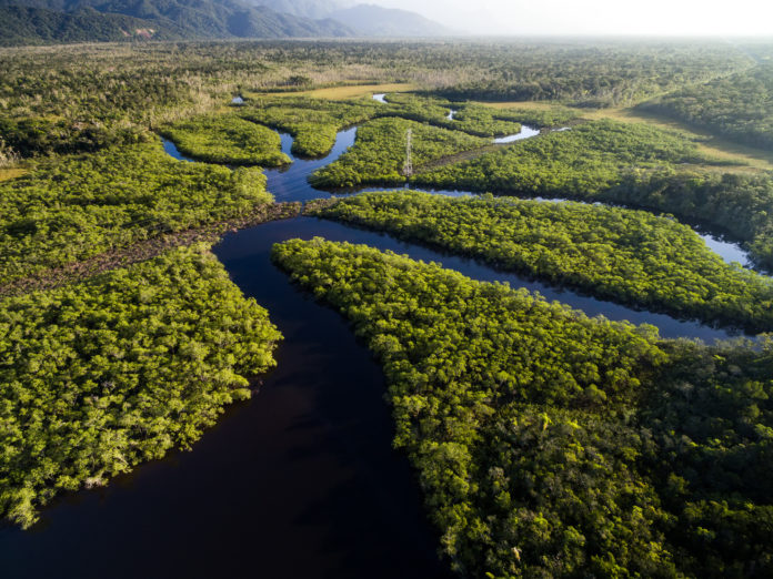 Luftaufnahme vom Amazonas Fluss