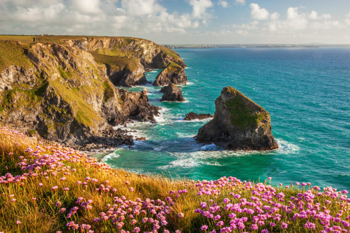 Bedruthan Steps Die Bedruthan Steps im Frühling mit Blumen im Vordergrund