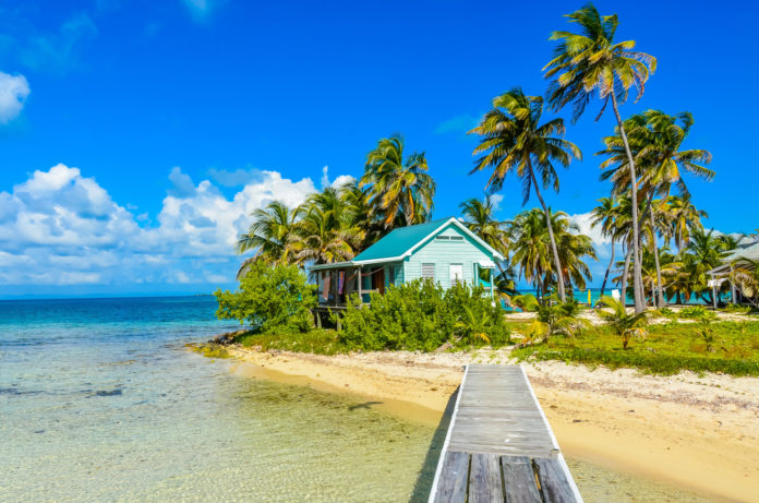 Carrie Bow Cay Field Station Steg bei der Carrie Bow Cay Field Station mit Palmen