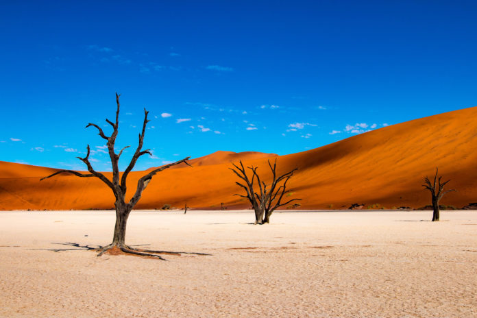 Deadvlei Das Deadvlei in der Wüste von Namibia