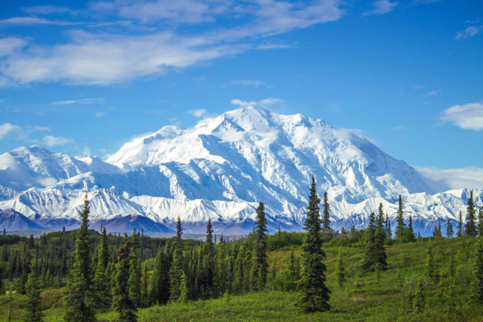 Der Denali Nationalpark mit dem Denali im Morgenlicht