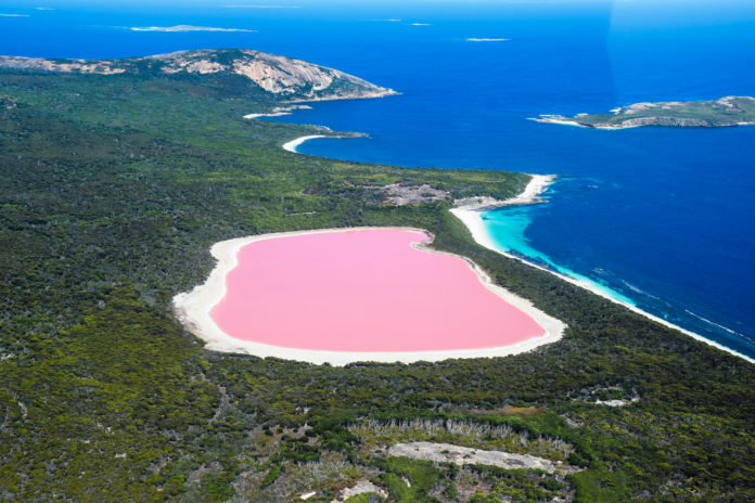 Der rosafarbene Hiller Lake in Australien